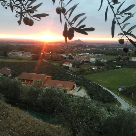 לינה וארוחת בוקר Bricherasio Agrialpi By Salfrutta מראה חיצוני תמונה