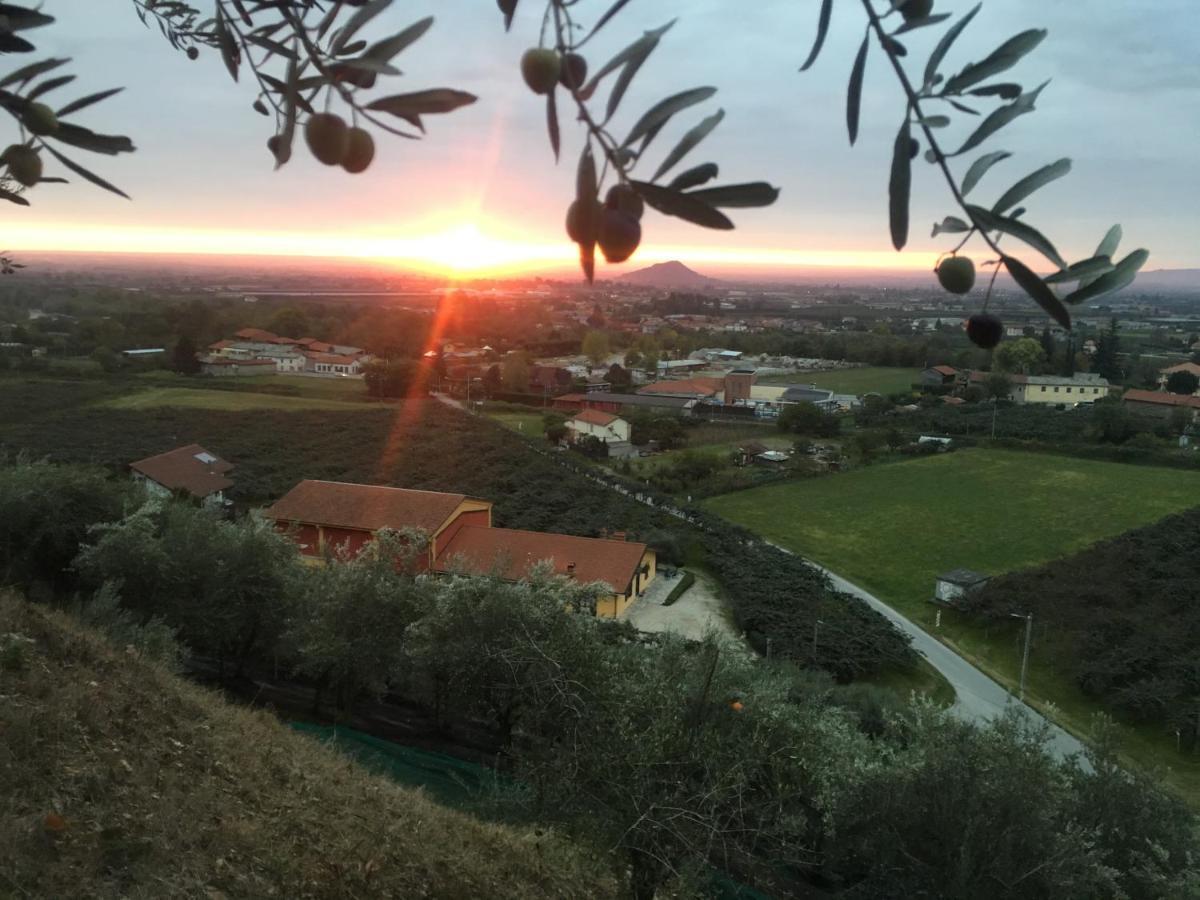 לינה וארוחת בוקר Bricherasio Agrialpi By Salfrutta מראה חיצוני תמונה