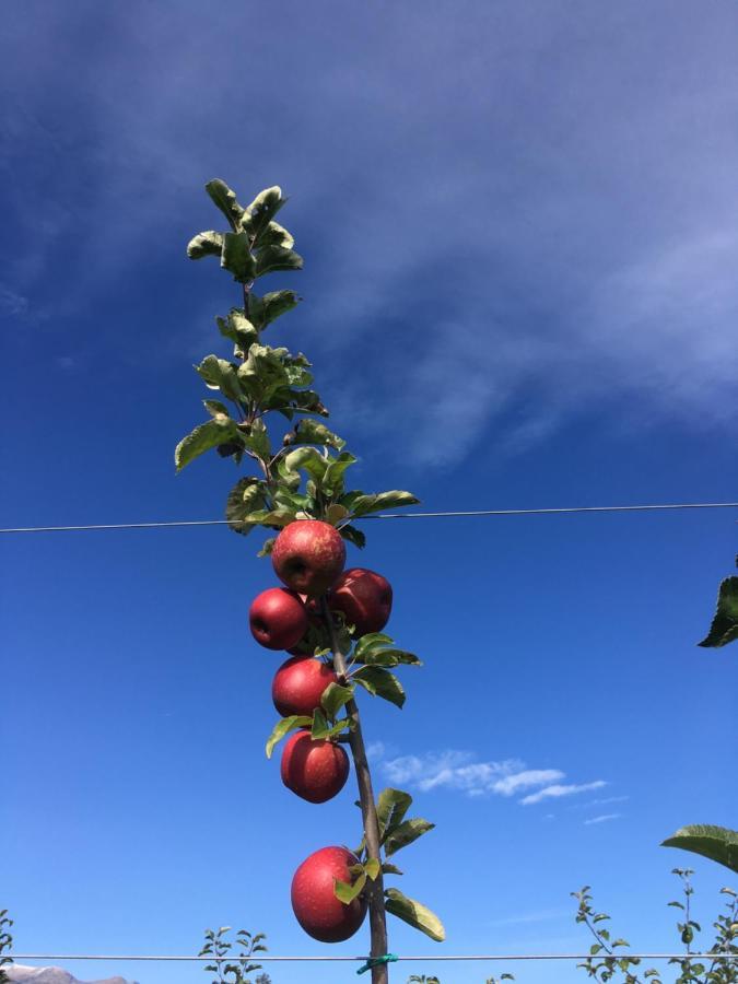 לינה וארוחת בוקר Bricherasio Agrialpi By Salfrutta מראה חיצוני תמונה