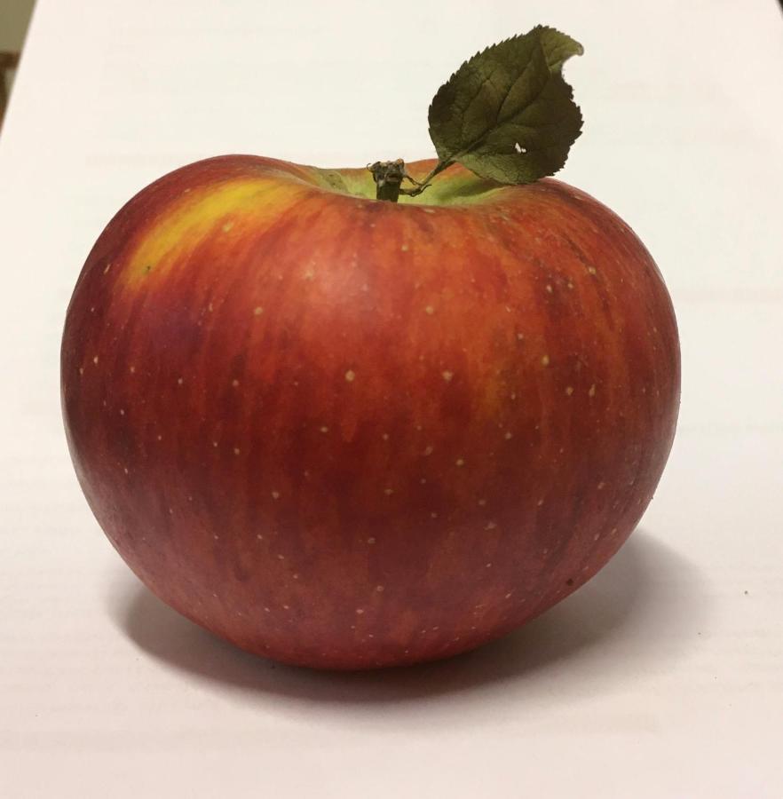 לינה וארוחת בוקר Bricherasio Agrialpi By Salfrutta מראה חיצוני תמונה