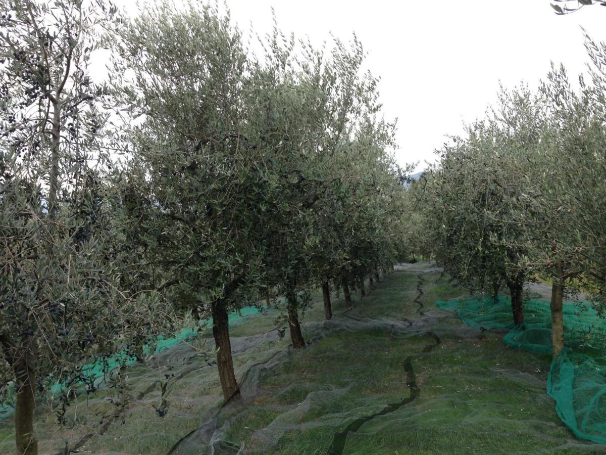 לינה וארוחת בוקר Bricherasio Agrialpi By Salfrutta מראה חיצוני תמונה
