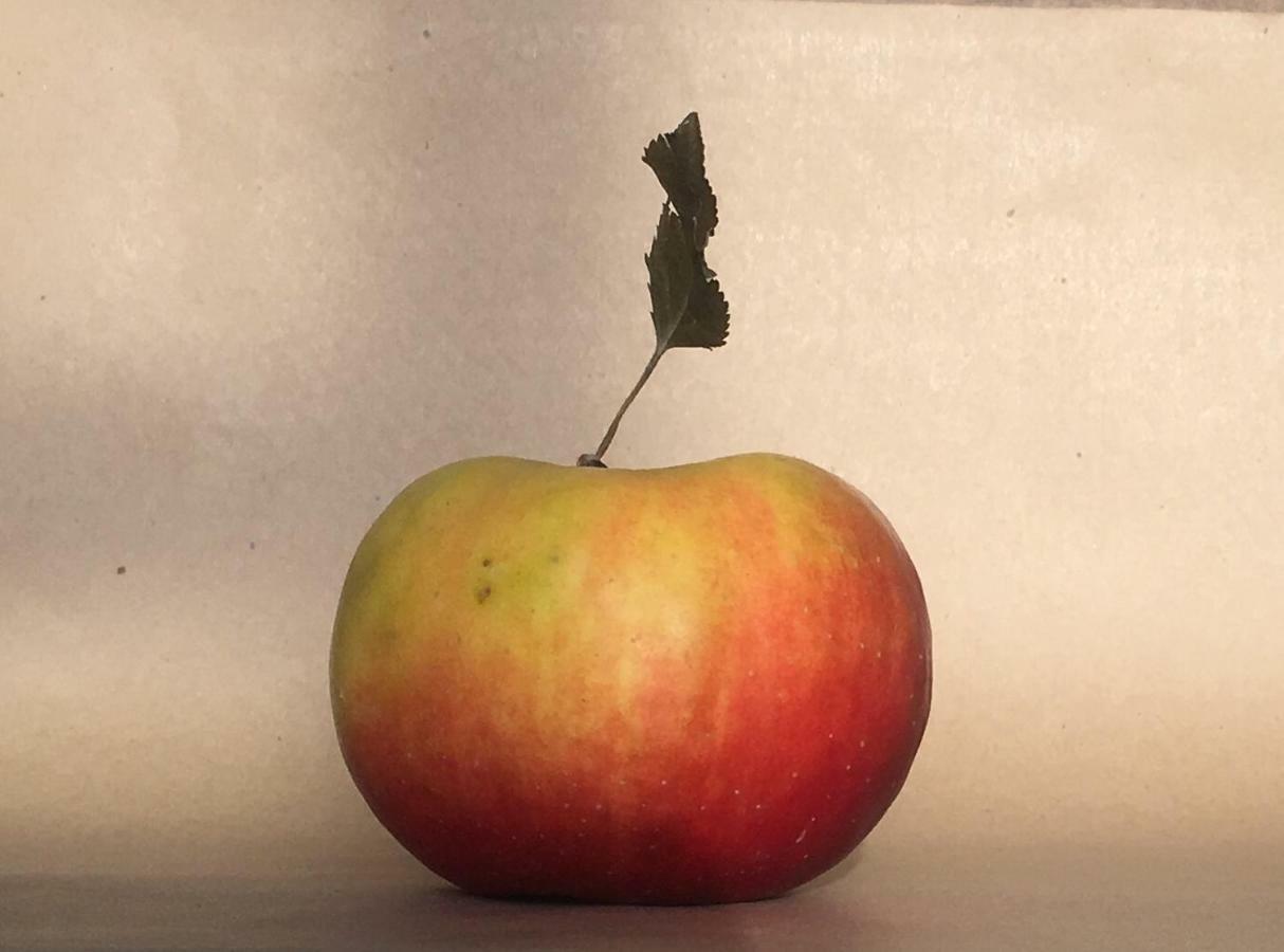 לינה וארוחת בוקר Bricherasio Agrialpi By Salfrutta מראה חיצוני תמונה